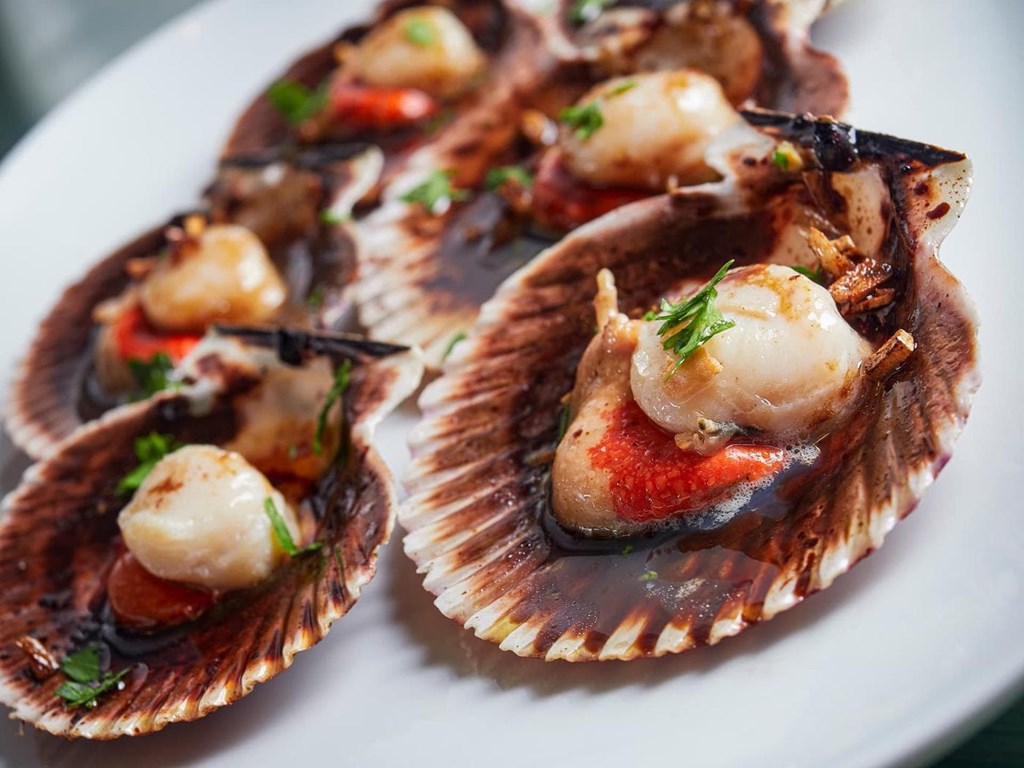 Vieiras del Pacífico - Imagen 1