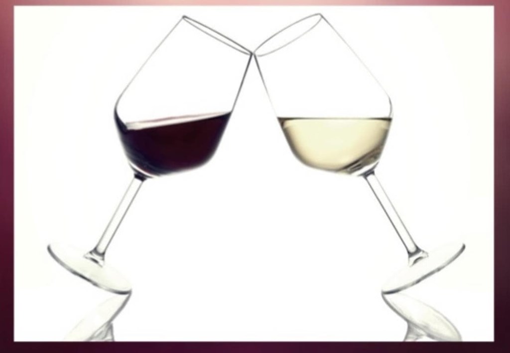 Vinos / Wines - Imagen 1